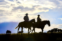 Never The Last Ride