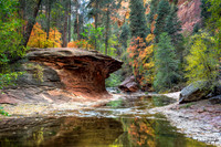 A Place To Ponder West Fork Wonder