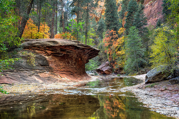 A Place To Ponder West Fork Wonder