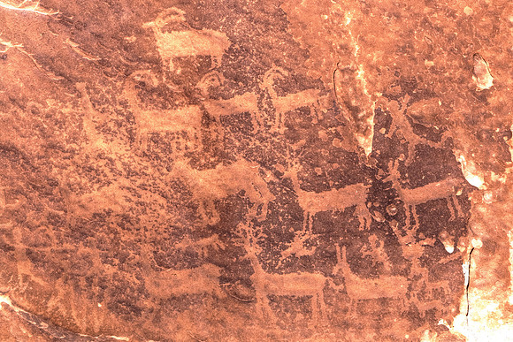 White Pocket Pictographs