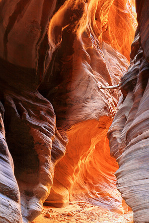 Forces Of Nature