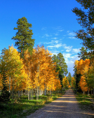 Kindness Of The Back Roads