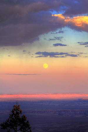 Harvest Moon Under Sinking Sun