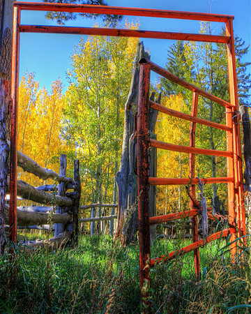 Corral Autumn Colors