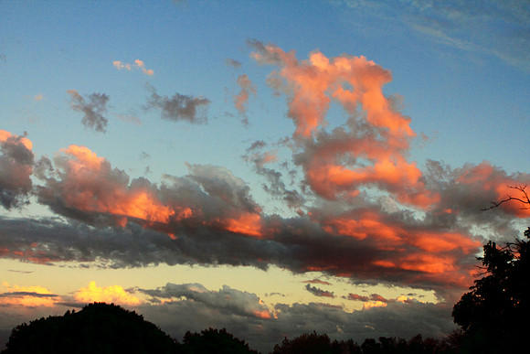 Autumn Paints Upon The Sky