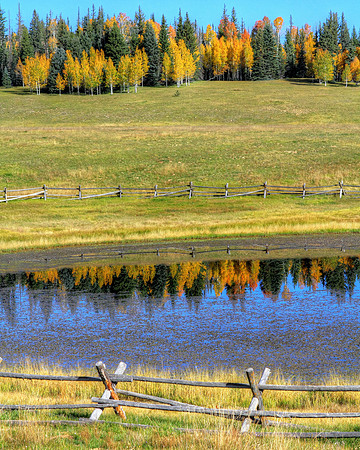 Autumnal Reflection