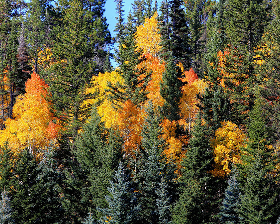 Torches Holding Back The Winter Frosts