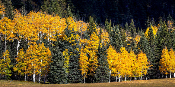 Nature's Boldest Triumph Told