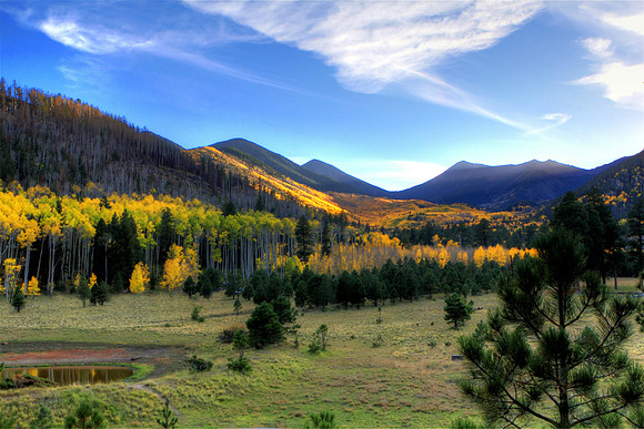 Aspen Autumnal Corrective