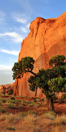 The Sky Watcher of Monument Valley