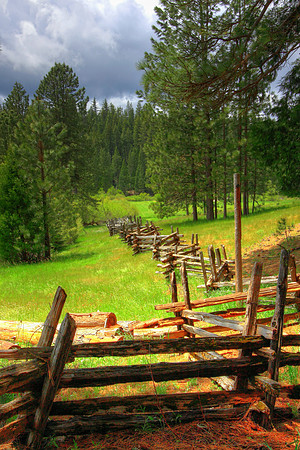 Wawona Meadow Wood