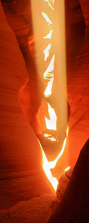 Light Seeks Nothing In Return