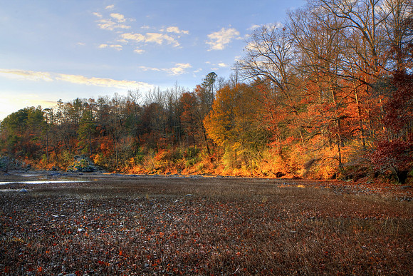 Autumn's Turn