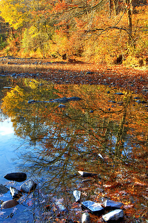 Autumnal Reflections