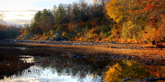 Autummorning On The Mountain Fork