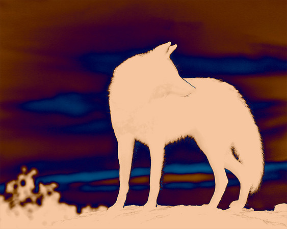Within A Landscape Of Attentiveness