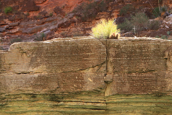 Grand Spirit Of Life