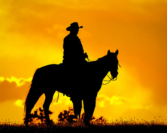 Sunset Cowboy