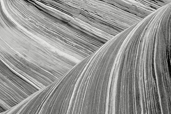 Contradictory Waves Of History