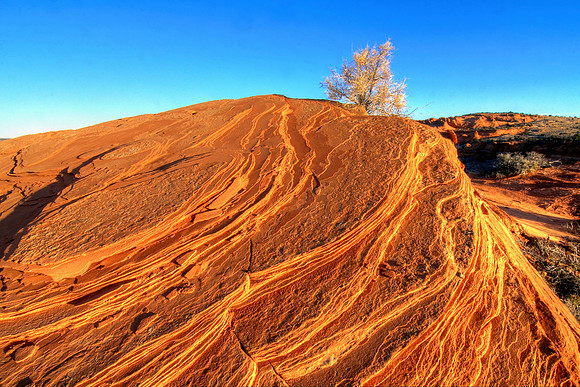 Good Morning Golden Glory