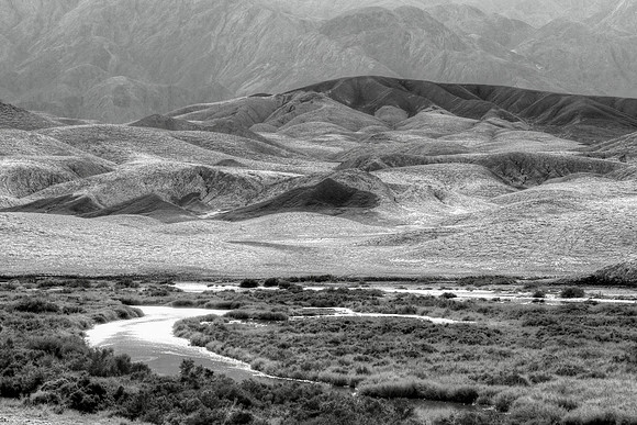 Salt Creek Death Valley
