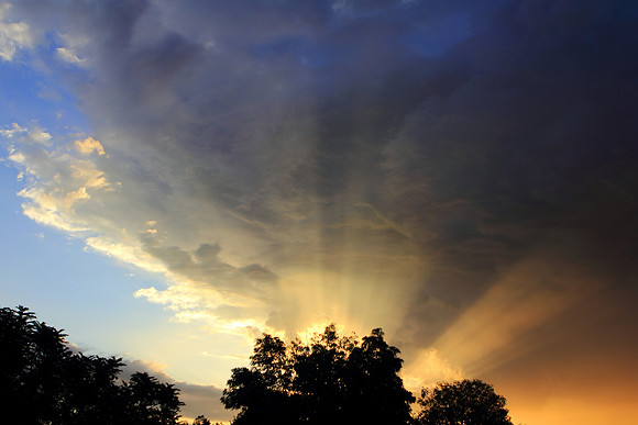 Watching Gleams Of Light