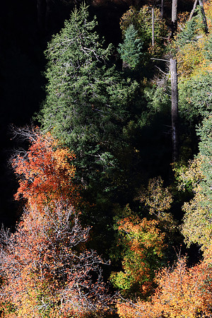 Autumn Peaking Below