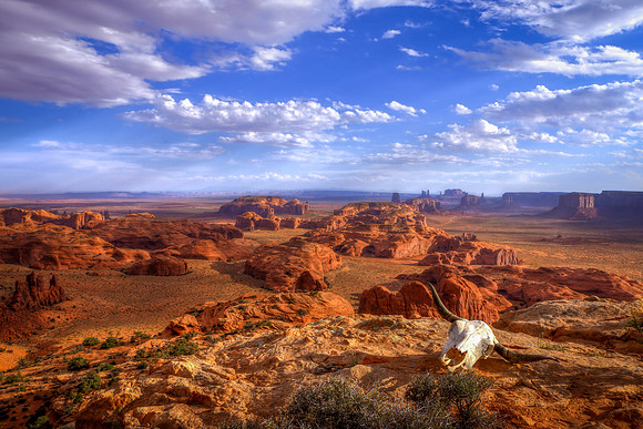 Searching My Eternal Landscape