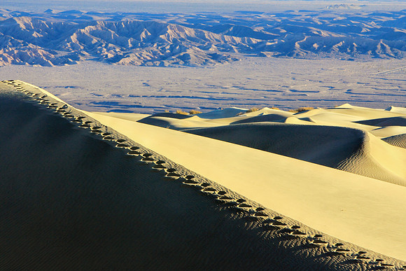 Leave Behind Us Footprints