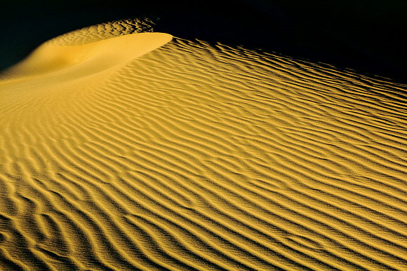 Self-Organized Ripples