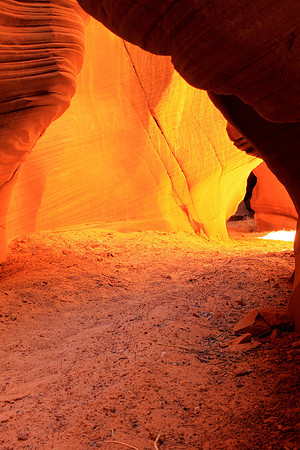 Seeking The Light