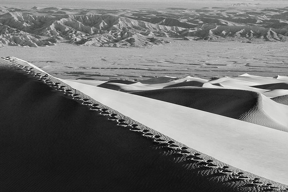 Leave Behind Us Footprints