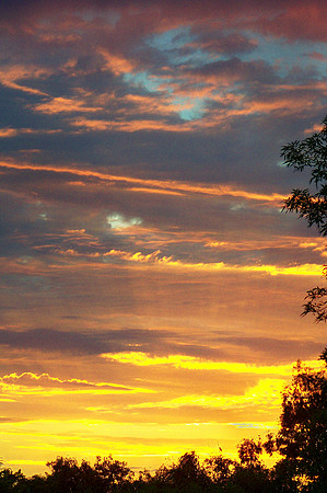 Who Tinged These Clouds With Gold