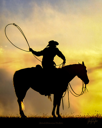Attitude Determines The Ride