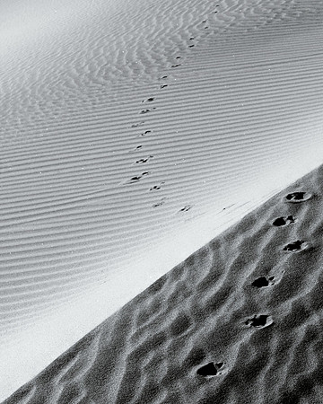 Footprints Of A True Friend