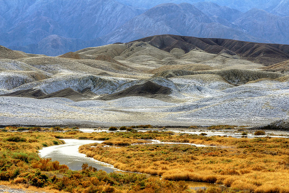 Salt Creek Death Valley