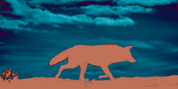 Coyote Lesson - Learning Lessons