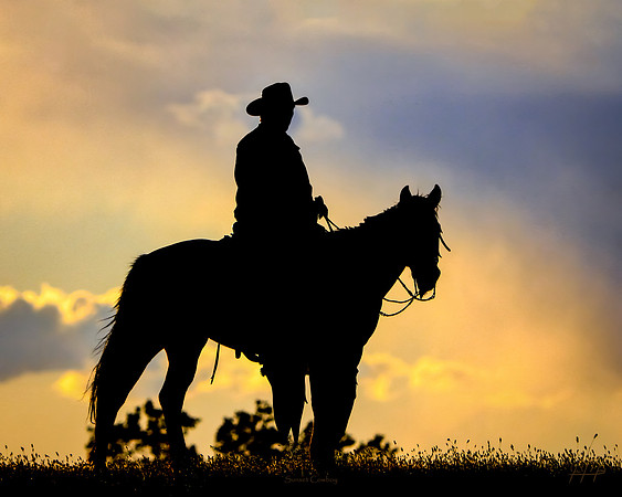 Sunset Cowboy