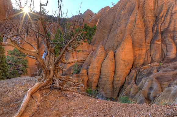 Red Mountain Sunrise