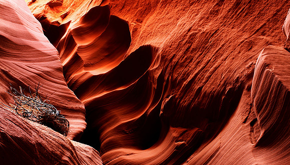 Otherworldly & Convoluted Depths