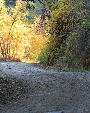 Autumn is Around The Bend