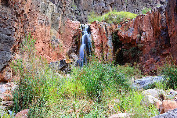 Oasis In The Canyon