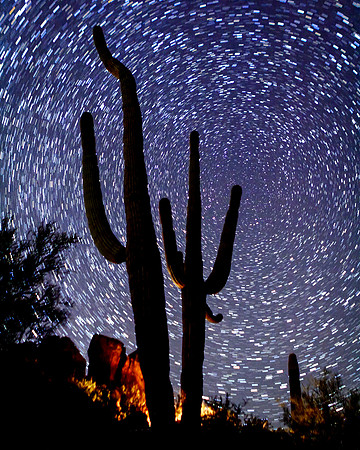 Sonoran Stary Night (small composite)