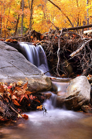 Autumn Flow Of Ramsey's Gold