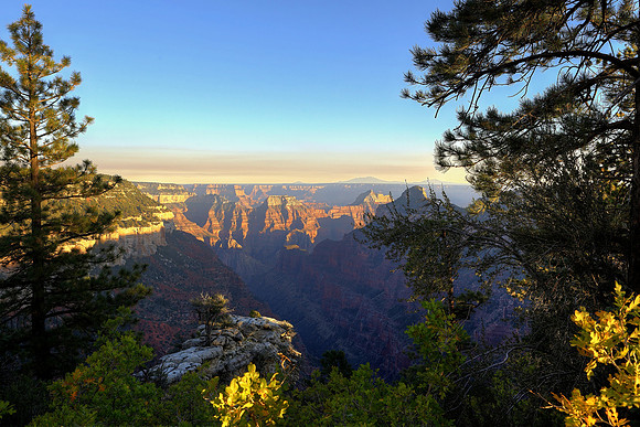 Canyon Sunset Vista From Widforss Trail