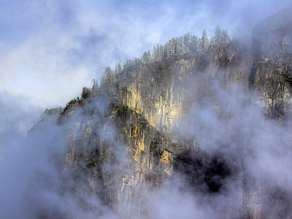 Mountain Mist
