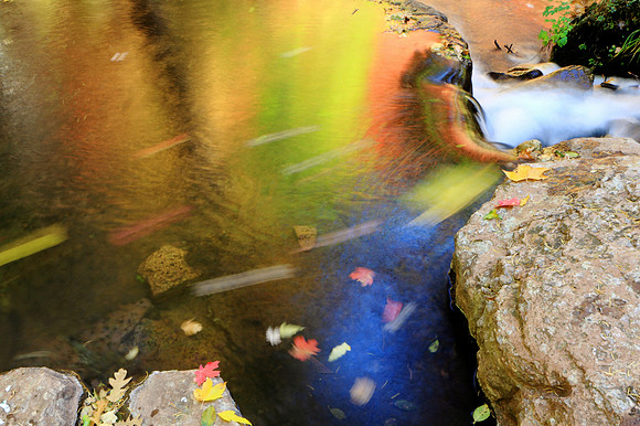 Flowing Colors Of Horton Creek