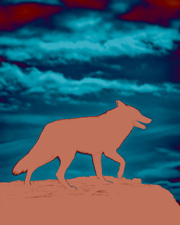 Coyote Lesson - Seeing Another Side