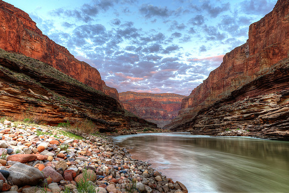 Morning Glories Of The Grand Canyon
