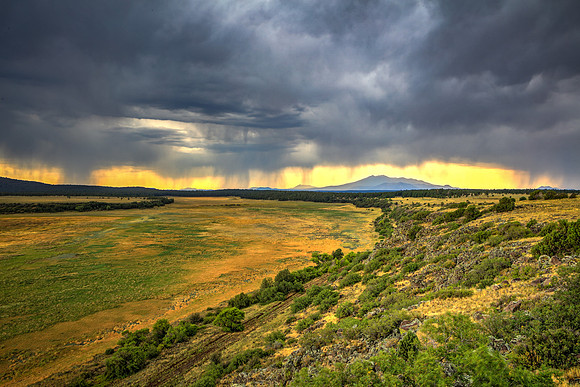 Storming From Marsh To Mountain